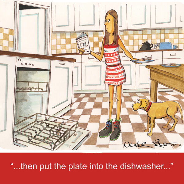 The Dishwasher