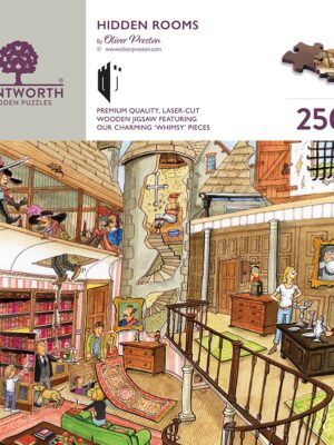 'Hidden Rooms' Puzzle